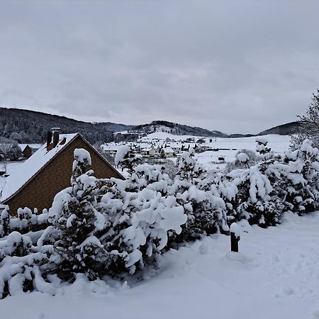 Sauerland-Tinyworld - Ihr Tiny Ferienhaus Im Sauerland Am Diemelsee Exterior photo